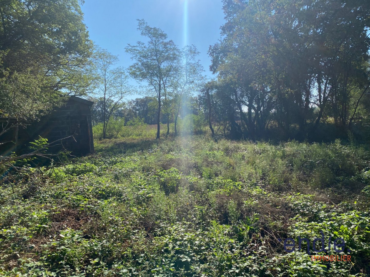 à vendre Maison Beaulon - Photo 10