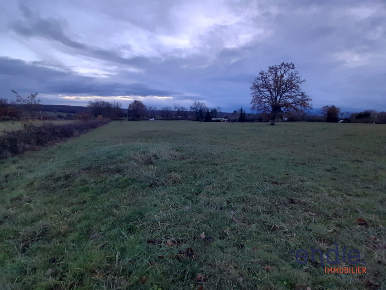 vente Terrain constructible Meillard - Photo 1