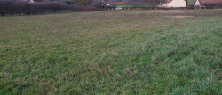 vente Terrain constructible Saint Plaisir