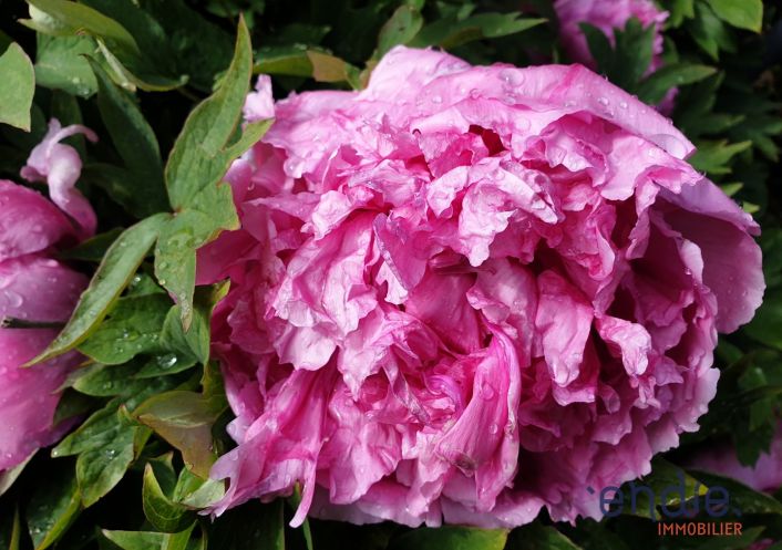 à vendre Maison Preveranges