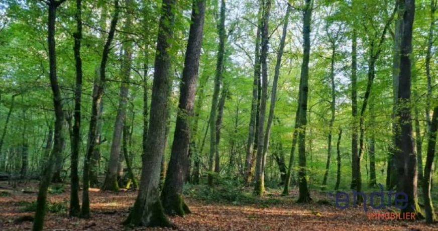 vente Maison et terrain Couleuvre