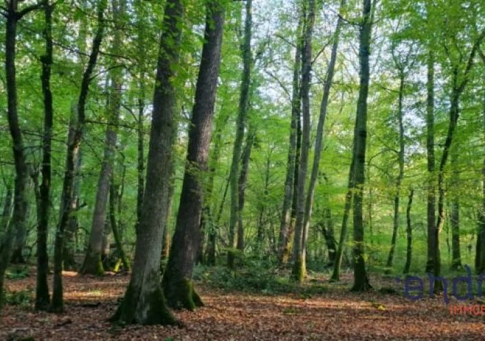 à vendre Maison et terrain Couleuvre