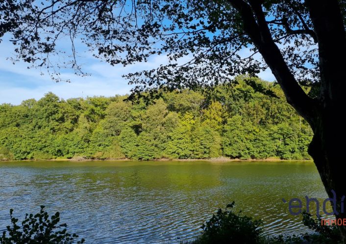 à vendre Maison et terrain Couleuvre