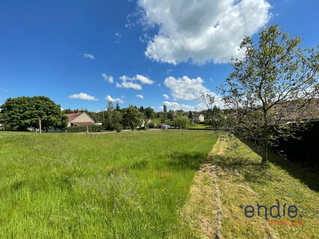 à vendre Terrain Cerilly - Photo 2
