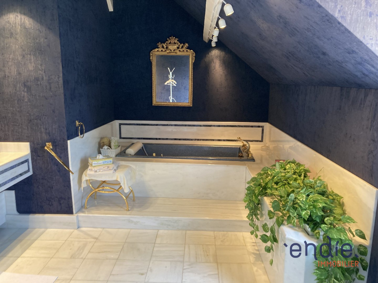 à vendre Demeure Sainte Genevieve - Photo 15