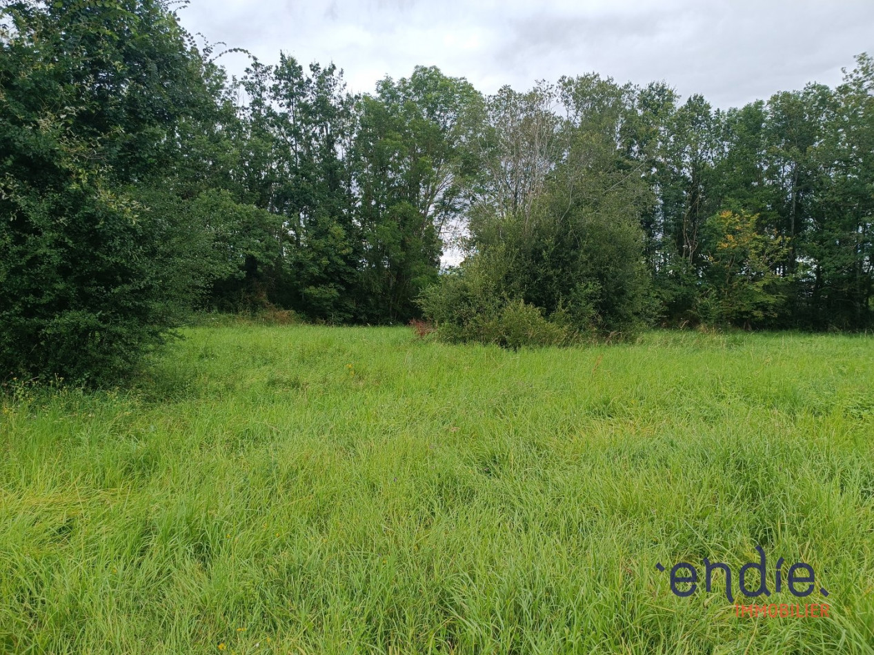 à vendre Terrain constructible Domerat - Photo 5