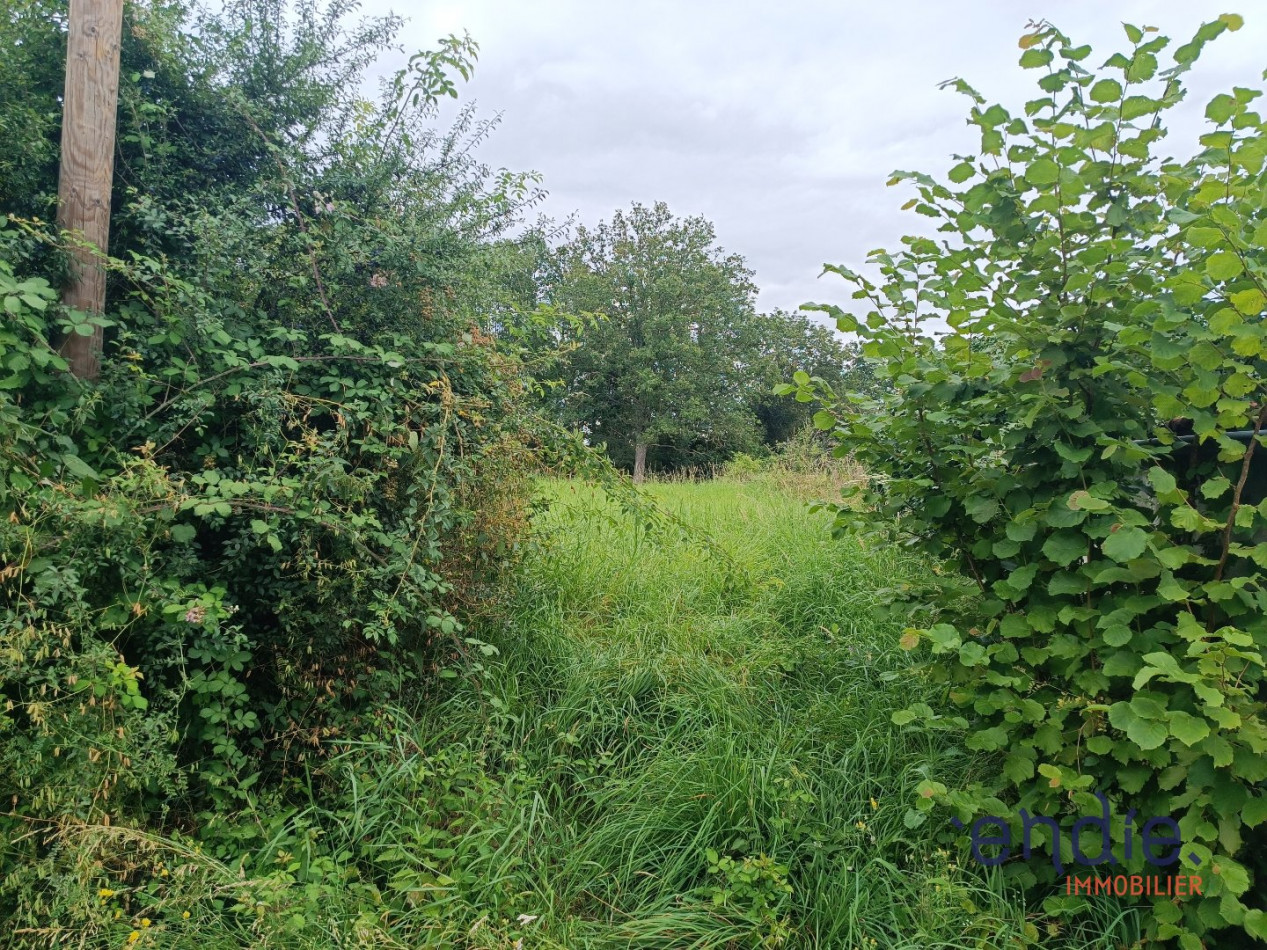 à vendre Terrain constructible Domerat - Photo 7