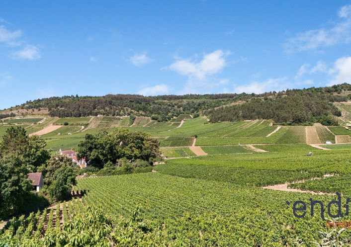 à vendre Maison Monthelie