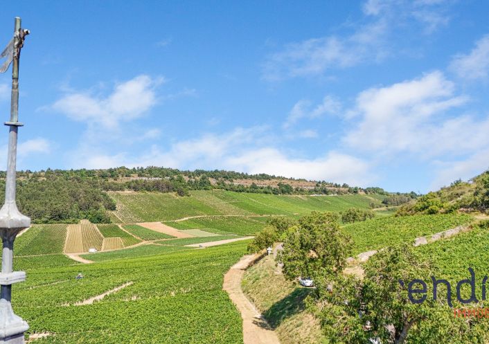 à vendre Maison Monthelie