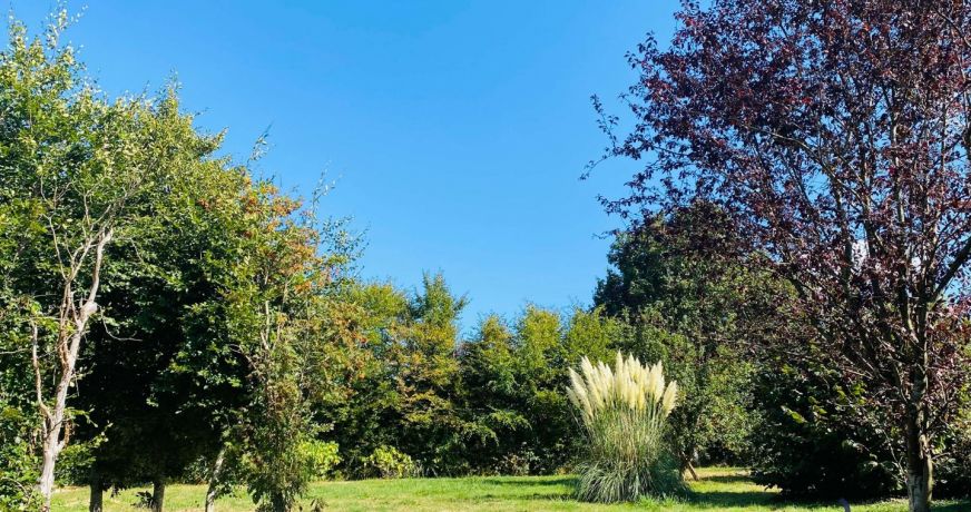 vente Maison Bourbon Lancy