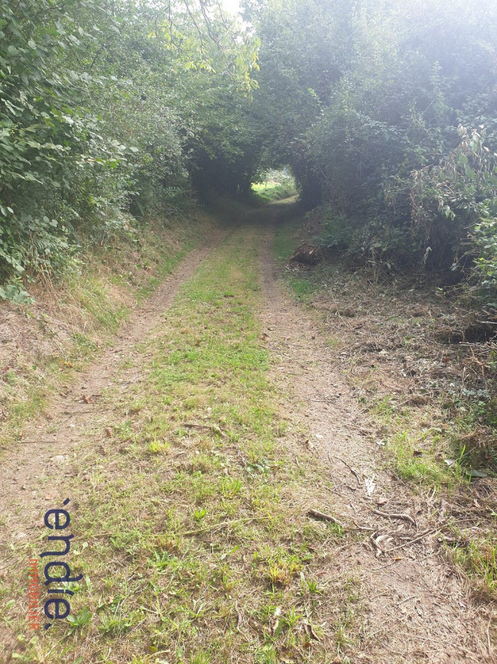 à vendre Corps de ferme Preveranges - Photo 11