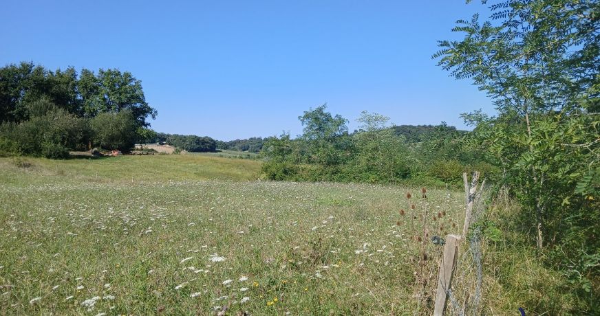 vente Terrain diffus (hors lotissement) Sainte Colombe