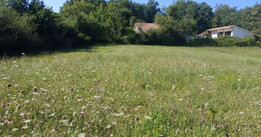 vente Terrain diffus (hors lotissement) Sainte Colombe