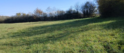 vente Terrain diffus (hors lotissement) Sainte Colombe