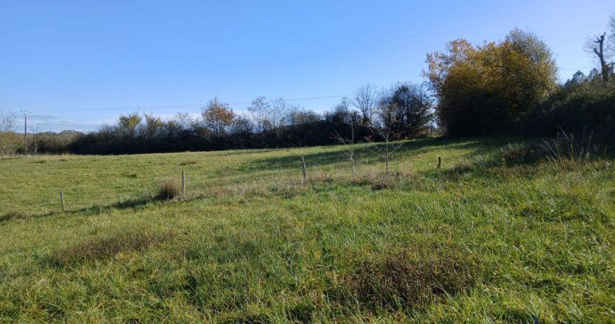 vente Terrain diffus (hors lotissement) Sainte Colombe