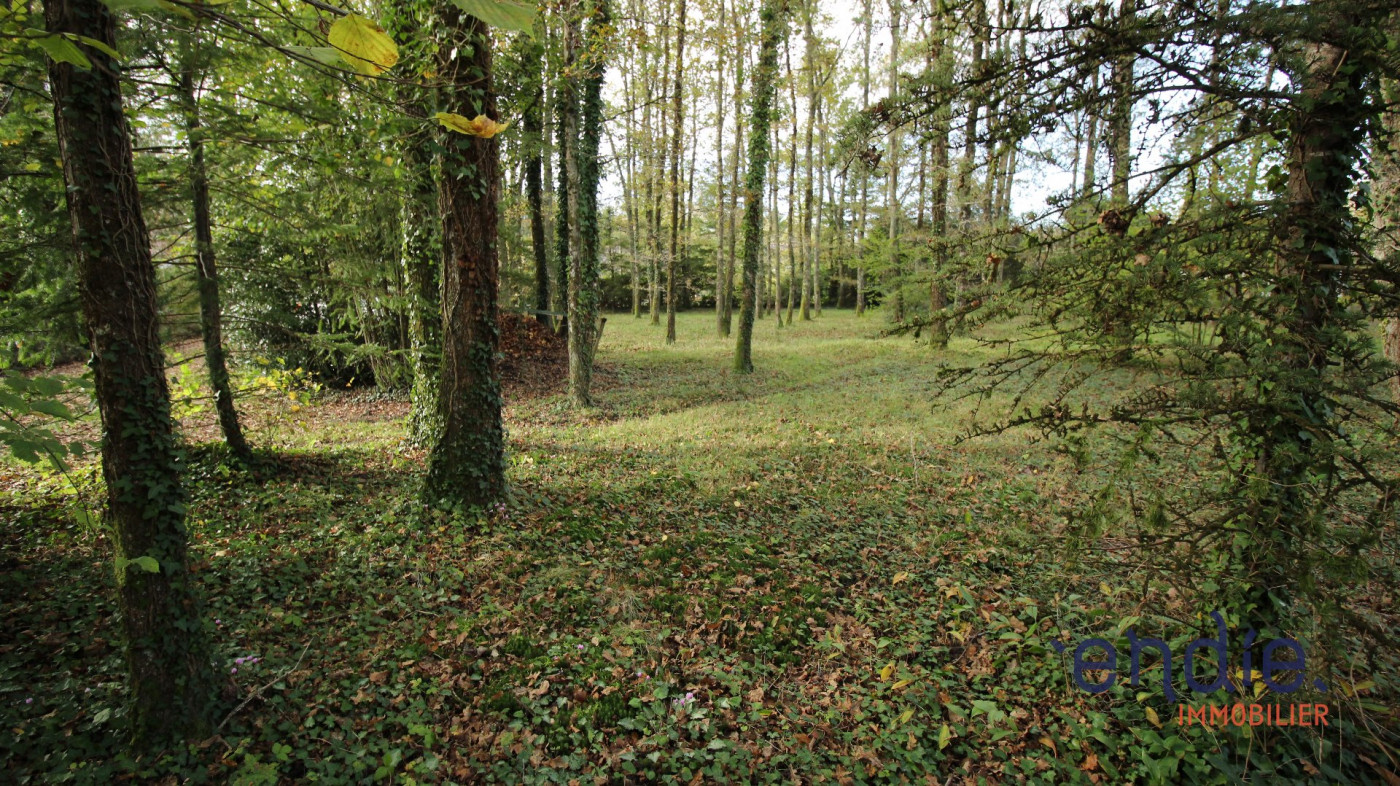 à vendre Maison Neuvy Sur Barangeon - Photo 4