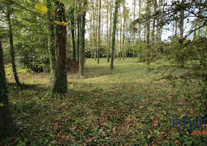 à vendre Maison Neuvy Sur Barangeon