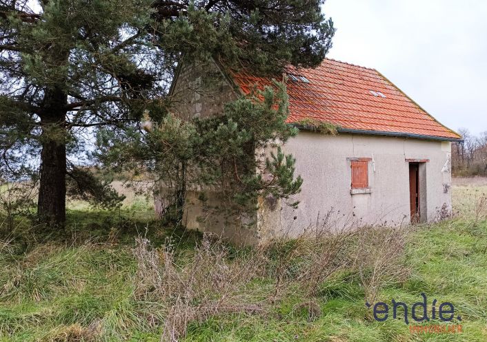 vente Terrain agricole Ligueil