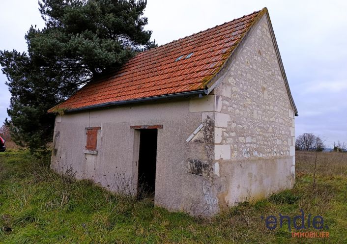 vente Terrain agricole Ligueil
