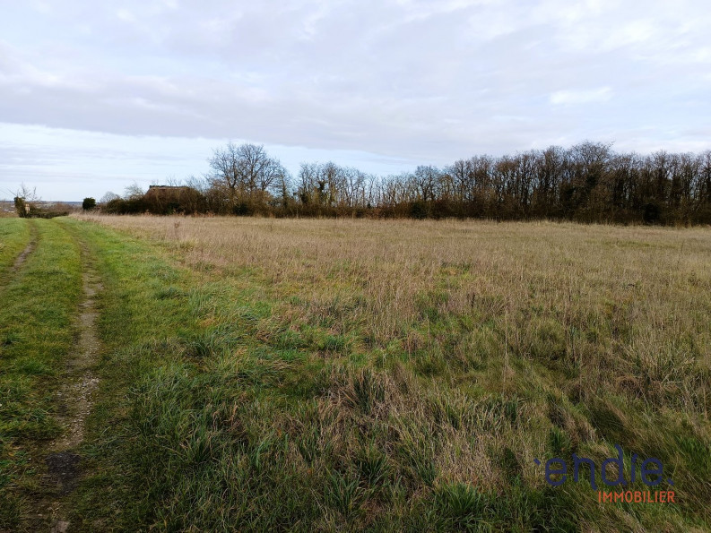 vente Terrain agricole Ligueil - Photo 2
