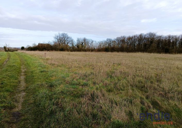 vente Terrain agricole Ligueil