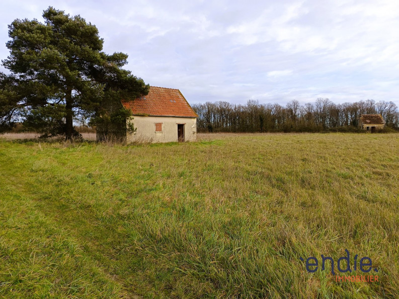 vente Terrain agricole Ligueil - Photo 4