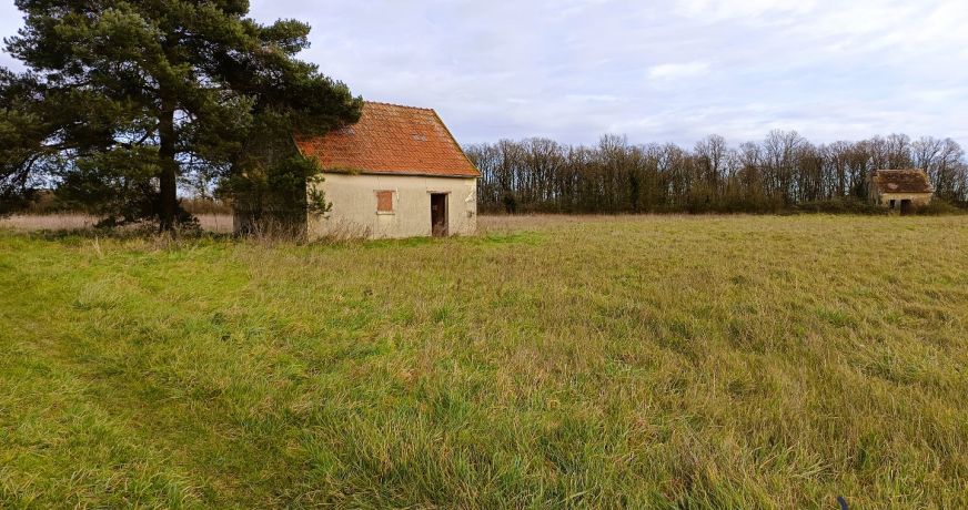 vente Terrain agricole Ligueil
