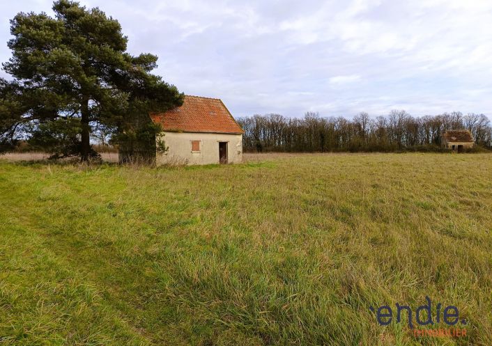 vente Terrain agricole Ligueil
