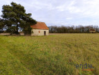 vente Terrain agricole Ligueil