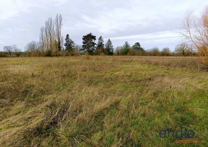 vente Terrain agricole Ligueil