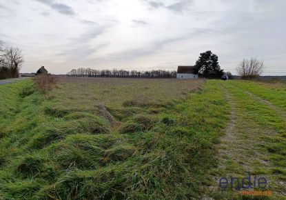 vente Terrain agricole Ligueil