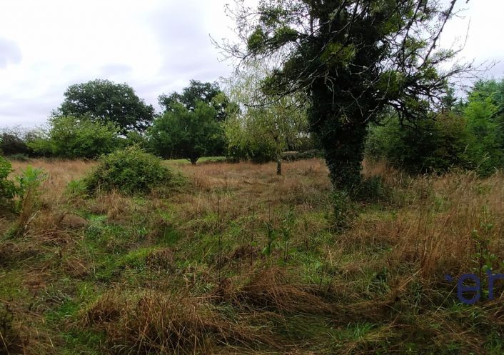 à vendre Maison Clere Du Bois