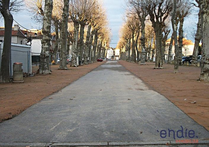 à vendre Immeuble mixte Cusset