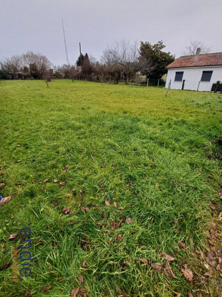 vente Terrain Piegut Pluviers - Photo 2