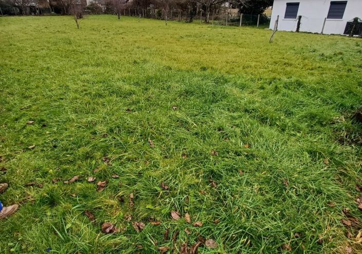 vente Terrain Piegut Pluviers