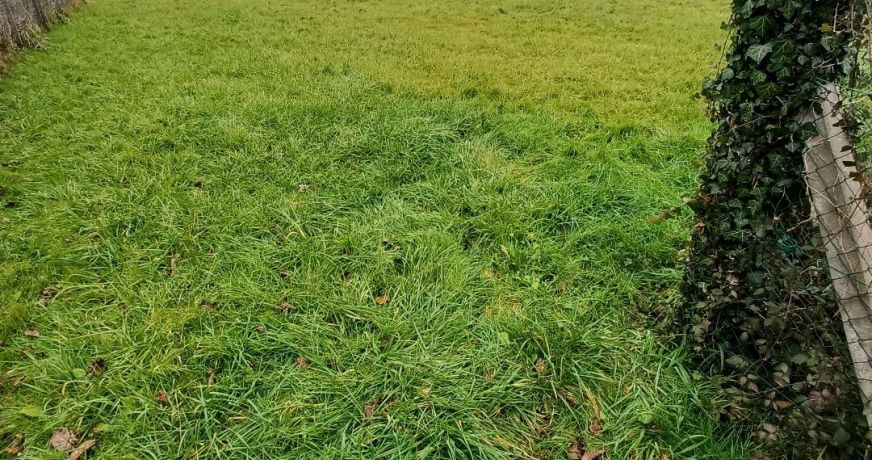 vente Terrain Piegut Pluviers