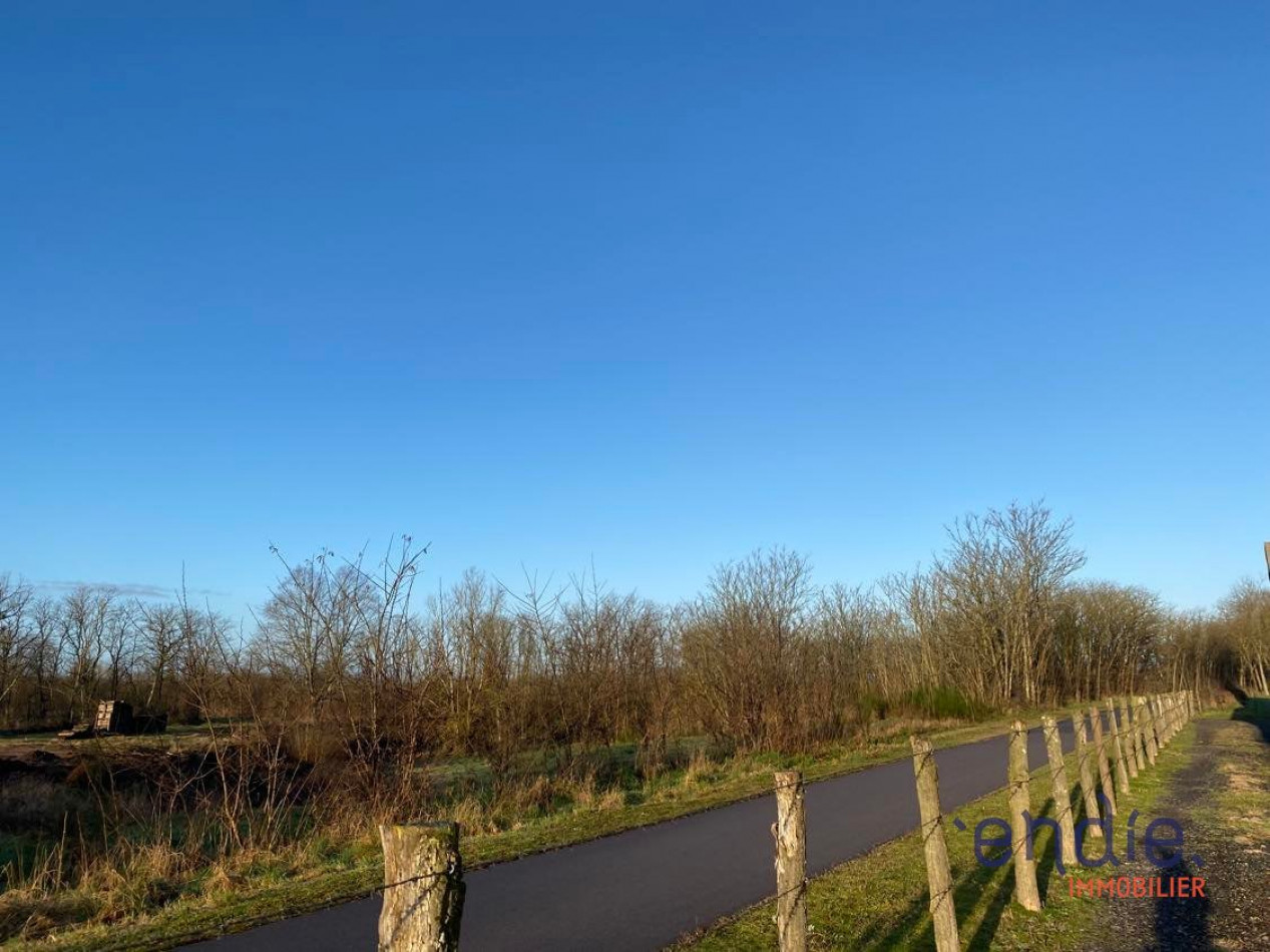 à vendre Maison Gilly Sur Loire - Photo 11