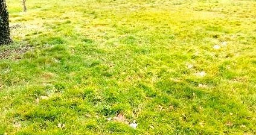 vente Terrain Lusigny