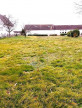 vente Terrain Lusigny
