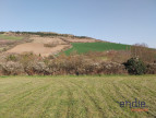 à vendre Terrain Clemensat