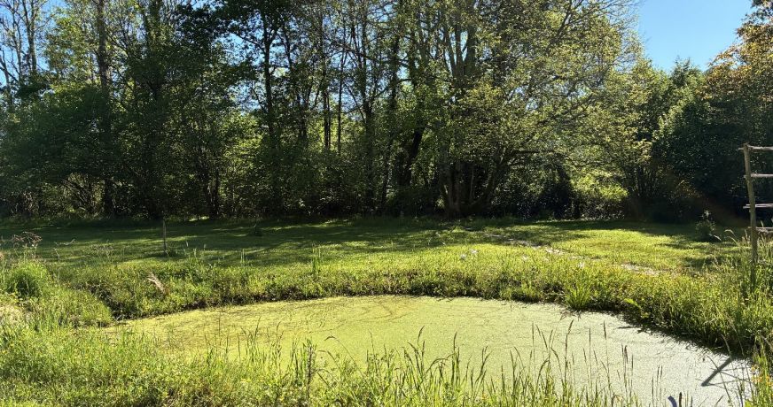 vente Terrain constructible Lacommande