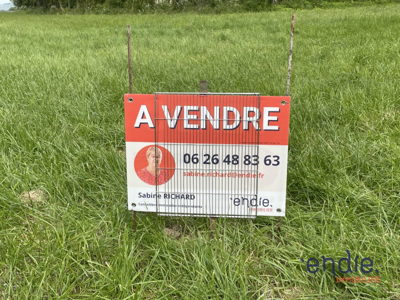 vente Terrain constructible Coussay - Photo 1