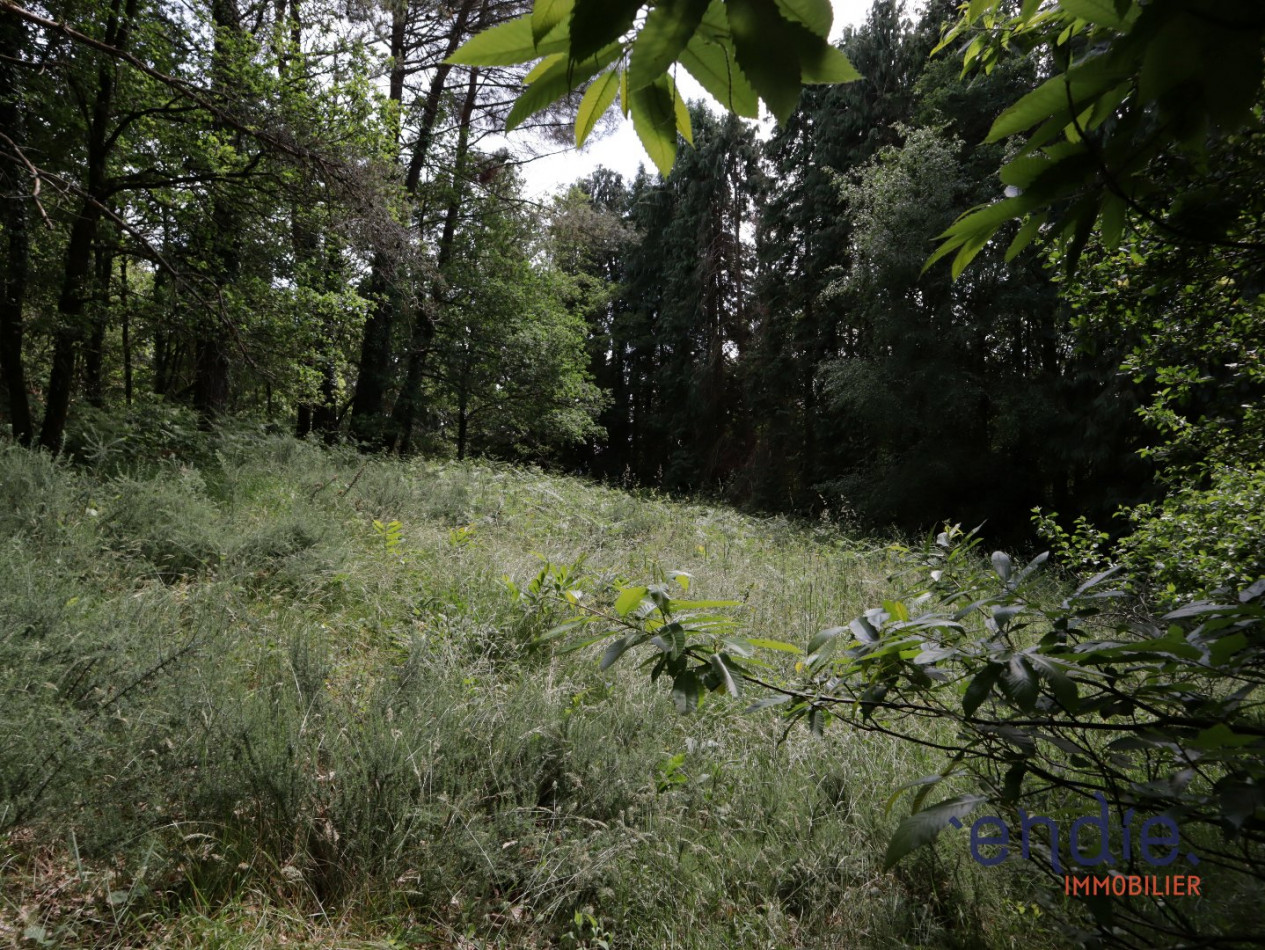 vente Maison Melrand - Photo 7