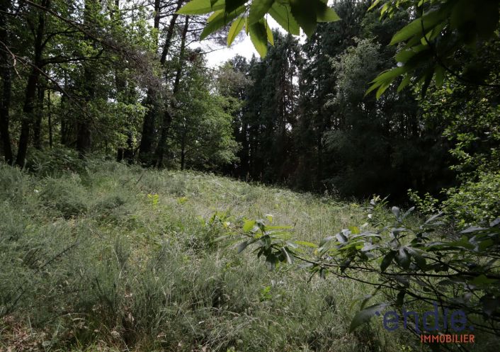 à vendre Maison Melrand