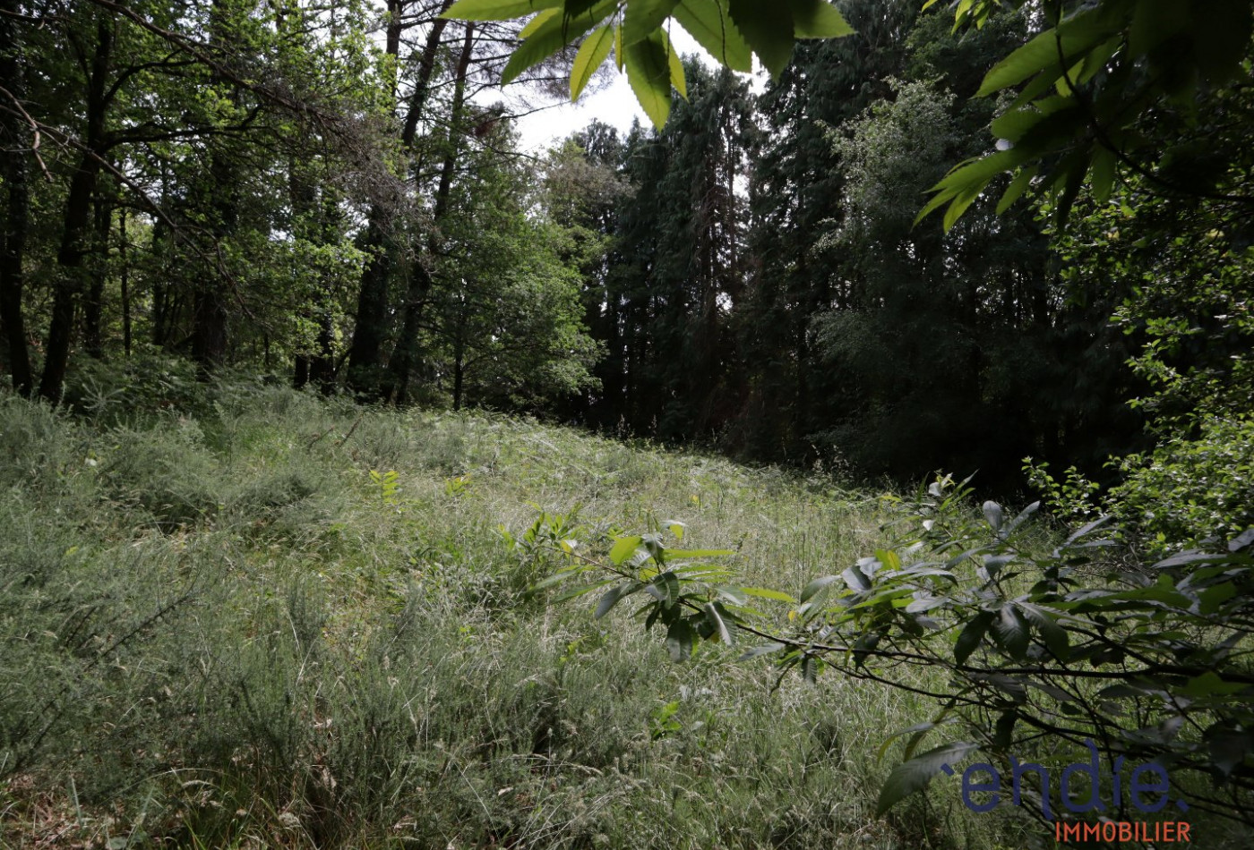 vente Maison Melrand - Photo 7