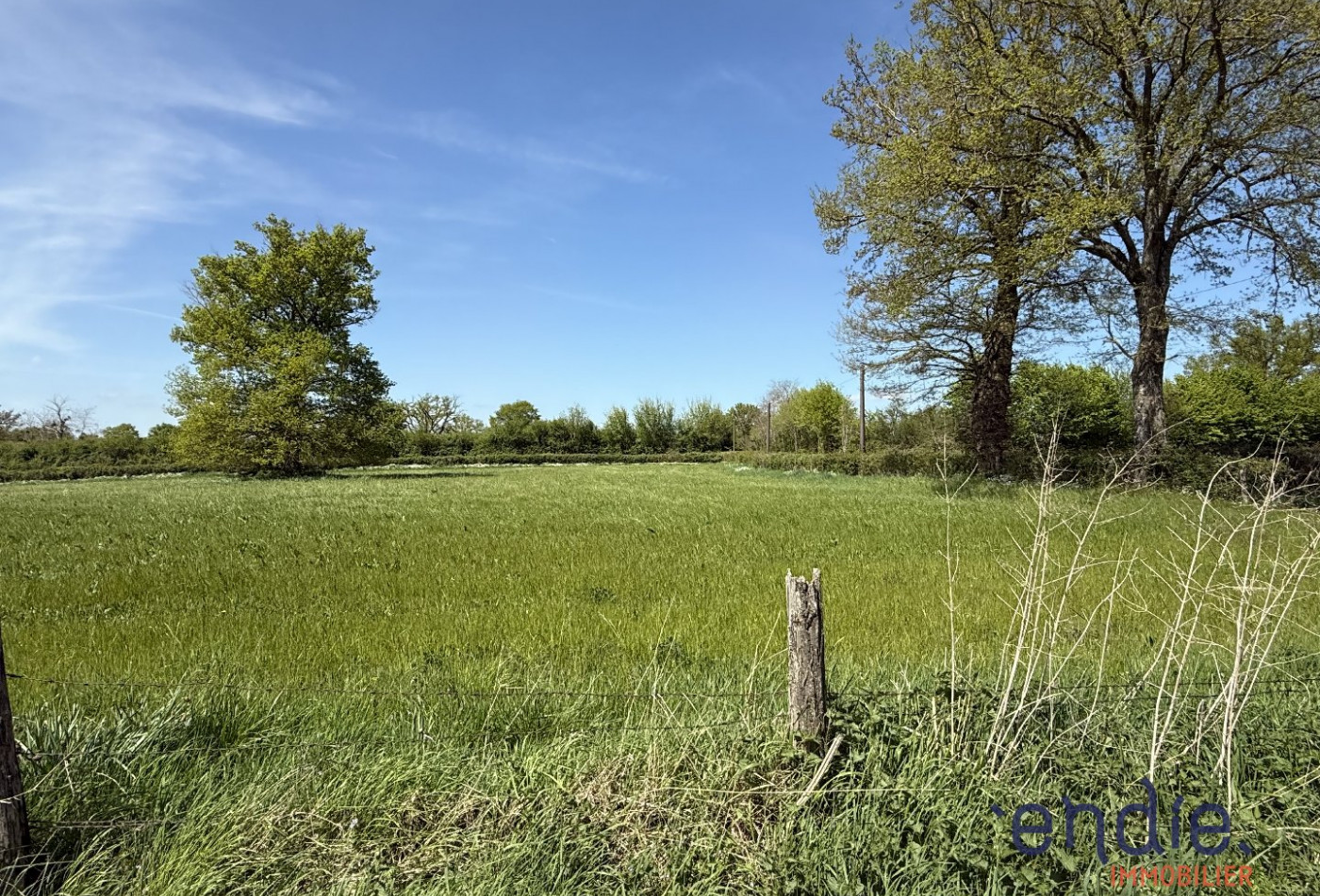vente Maison Coulanges - Photo 8
