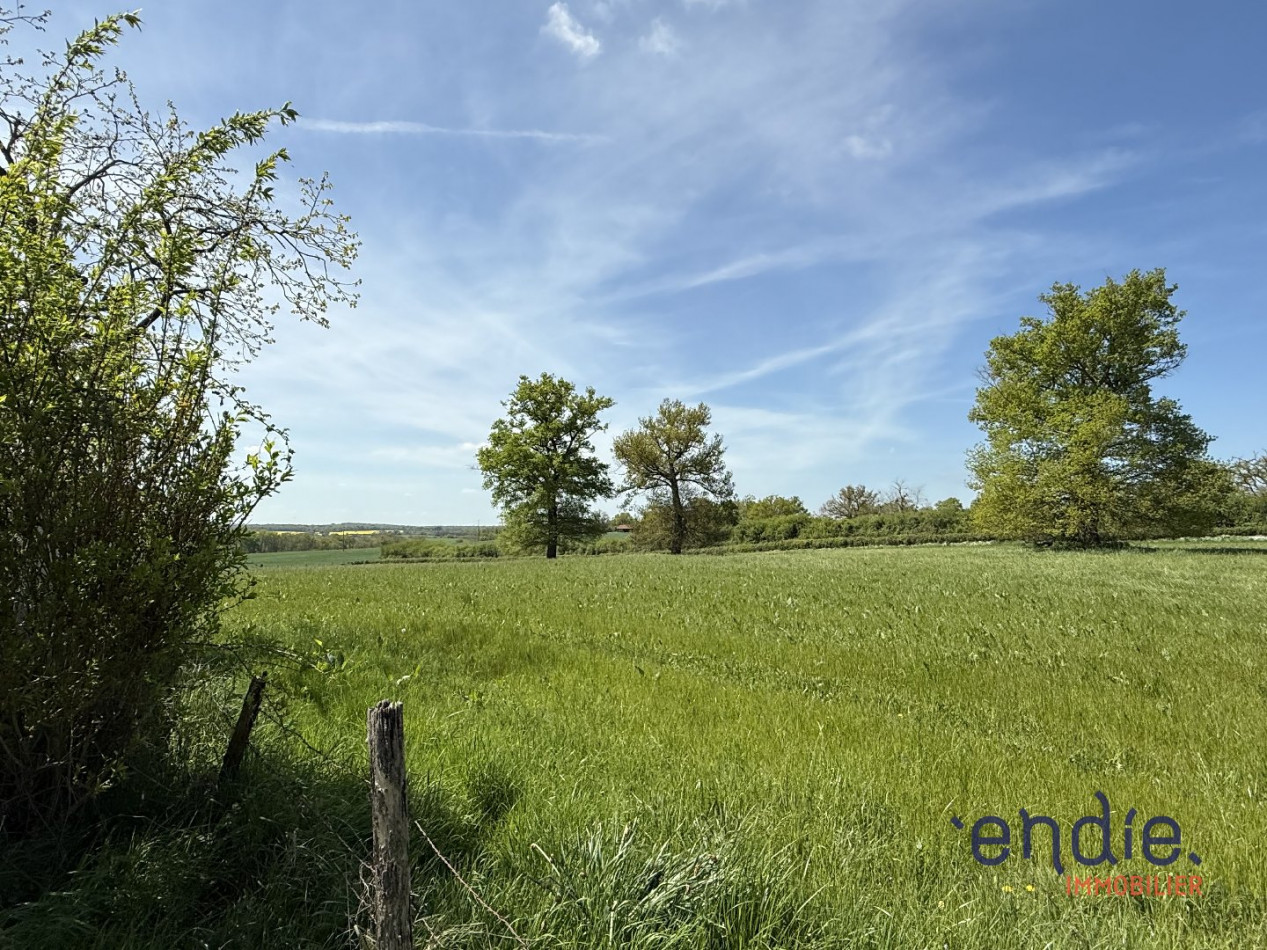 à vendre Maison Coulanges - Photo 9