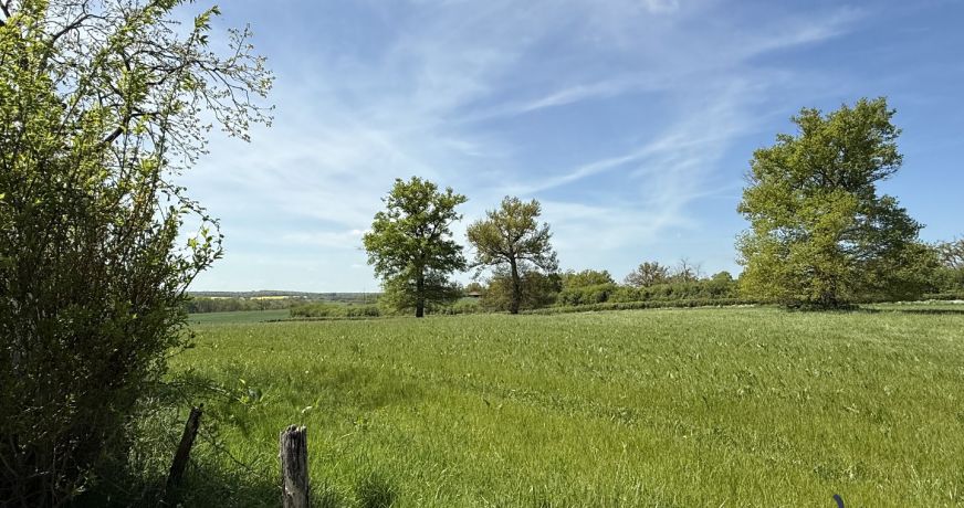 vente Maison Coulanges
