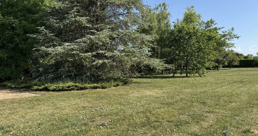 vente Maison La Guerche Sur L'aubois