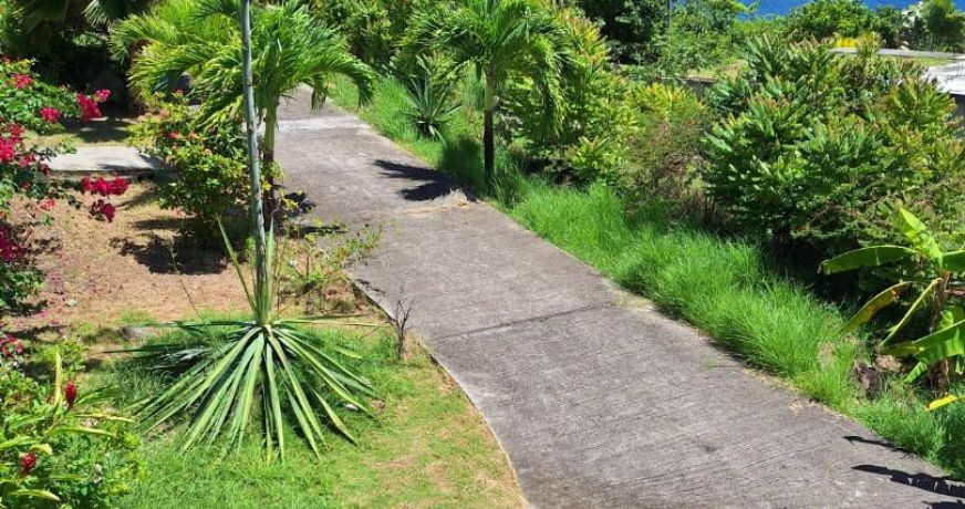 vente Maison mezzanine Terre De Bas